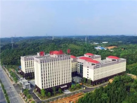 千余老人1.73亿养老钱，全数追回！发放到位！